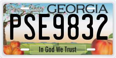 GA license plate PSE9832