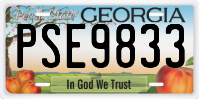 GA license plate PSE9833