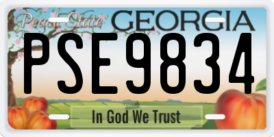 GA license plate PSE9834