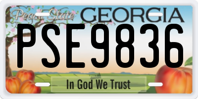 GA license plate PSE9836