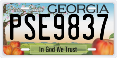 GA license plate PSE9837