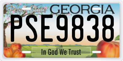 GA license plate PSE9838