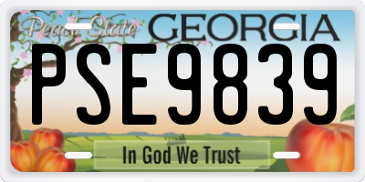 GA license plate PSE9839