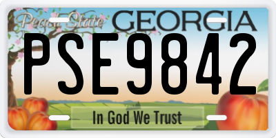 GA license plate PSE9842