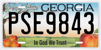 GA license plate PSE9843