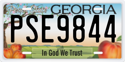 GA license plate PSE9844