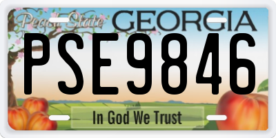 GA license plate PSE9846