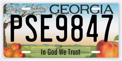 GA license plate PSE9847