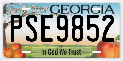 GA license plate PSE9852