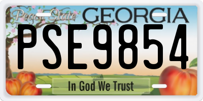 GA license plate PSE9854