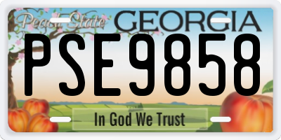 GA license plate PSE9858
