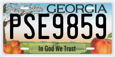 GA license plate PSE9859