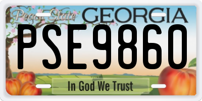 GA license plate PSE9860