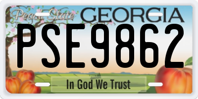 GA license plate PSE9862