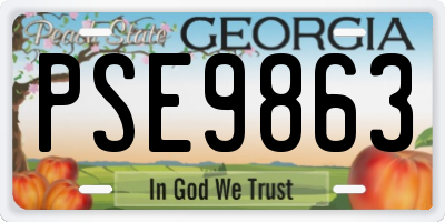 GA license plate PSE9863