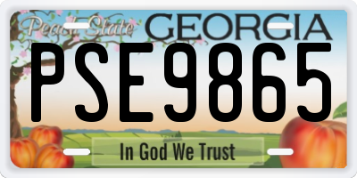 GA license plate PSE9865