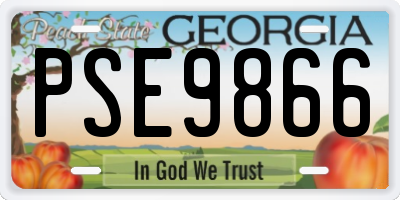 GA license plate PSE9866