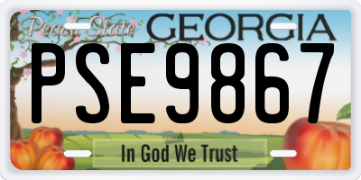 GA license plate PSE9867