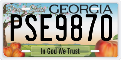 GA license plate PSE9870