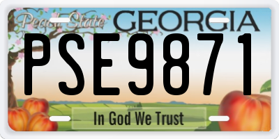 GA license plate PSE9871