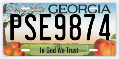 GA license plate PSE9874