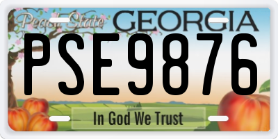 GA license plate PSE9876