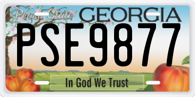 GA license plate PSE9877