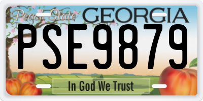 GA license plate PSE9879