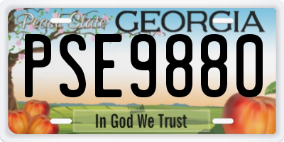 GA license plate PSE9880