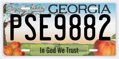 GA license plate PSE9882