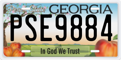 GA license plate PSE9884