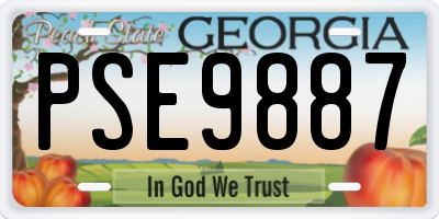 GA license plate PSE9887