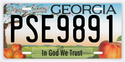 GA license plate PSE9891