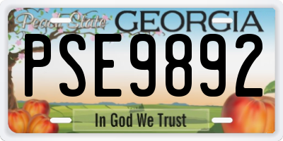 GA license plate PSE9892
