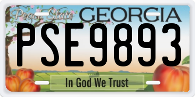 GA license plate PSE9893
