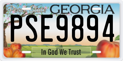 GA license plate PSE9894