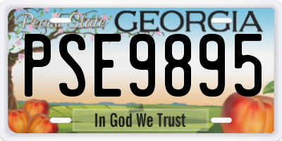 GA license plate PSE9895