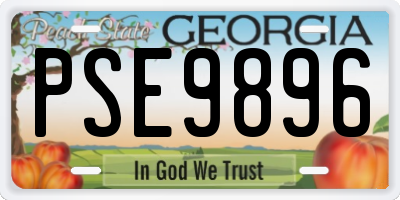 GA license plate PSE9896