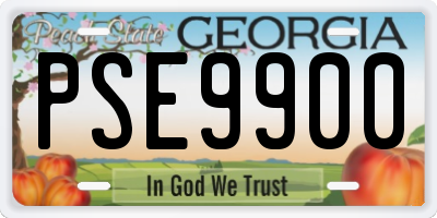 GA license plate PSE9900