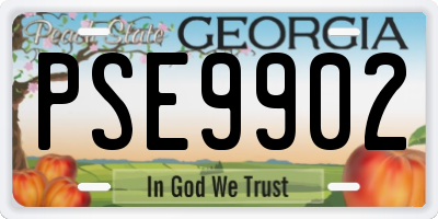 GA license plate PSE9902