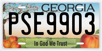 GA license plate PSE9903