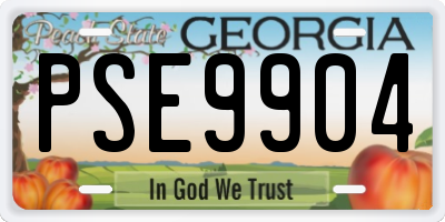GA license plate PSE9904