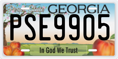 GA license plate PSE9905