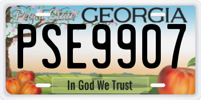 GA license plate PSE9907