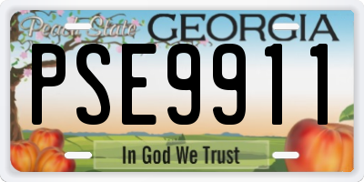 GA license plate PSE9911