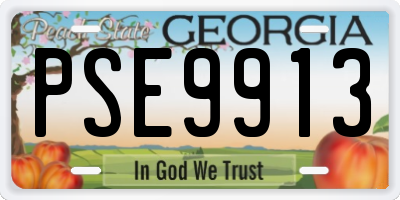 GA license plate PSE9913