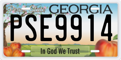 GA license plate PSE9914