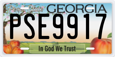 GA license plate PSE9917