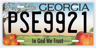 GA license plate PSE9921
