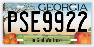 GA license plate PSE9922